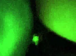 Africans Engage In Activities On The Dining Table