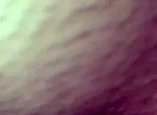 que piriqueta gostosa e gulosa engole todo o pau