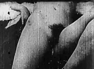 Vintage Beauty And The Beast