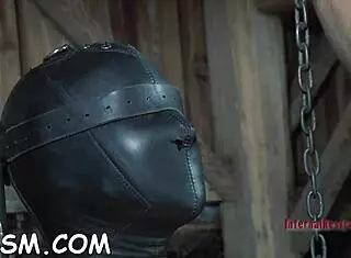 I watch the redhead goddess suck poles expertly