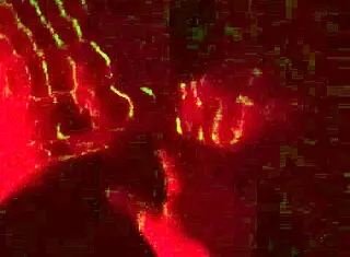 Cum on that ass! 💦