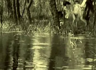 复古毛逼老片古董风情