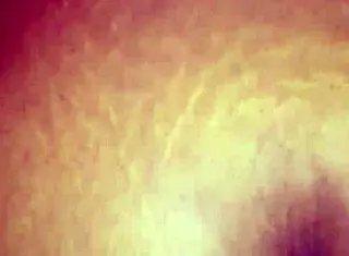 Ebony bbw throwing ass back hard