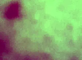 i fucked the bbw tranny's big ass hard