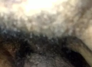 My wife is such a naughty bitch in bed, loving every moment.