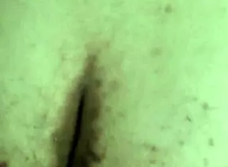 i fucked the bbw tranny's big ass hard