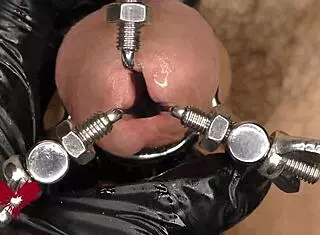 close up of 3-way urethral stretching, wow! 😲