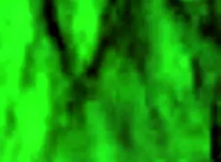 big dick masturbate with monster cock