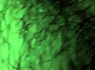 big dick masturbate with monster cock