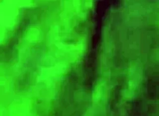 big dick masturbate with monster cock