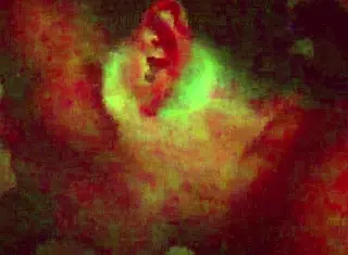 the milf is giving a nice blowjob in the room 😏