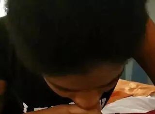 ebony amateur gives suggestive sucking session