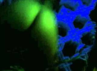 Best Compilation Of Tattooed Women With Big Tits!