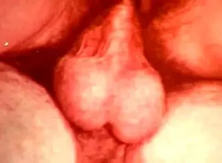 Vintage Bisexual Threesome Fucking Hard