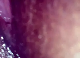 I'm fucking my wife's pussy and ass so hard