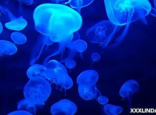 Latina Brunette Girl Next Door Shares Secret That Makes Her Pussy Wet