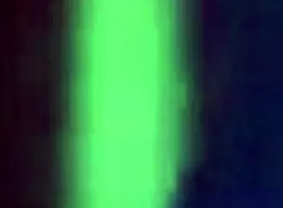 shannon, the amateur wife, pisses in this specific scene