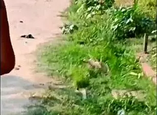 i fucked my best friend's girlfriend roberto, and she remembered her husband during anal.