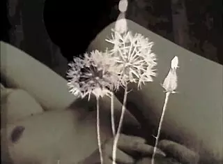 Vintage step sister fantasy!