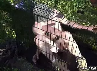 Cute boy gets blowjob in gay movie