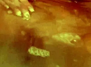 She Asks, 'Want To See My Creampie Experience?'