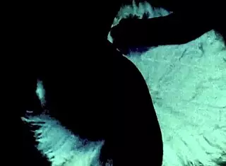 have you seen dark lantern's two centuries of vintage films?