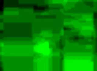 Lil squishy point of view