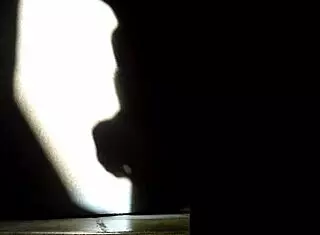 Ombres Chinoises Masturbation Scene