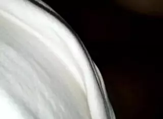 Big Booty Eva Left Her Best Part Behind For Work That Good Ol Thap Thighs Hips Ass Pussy