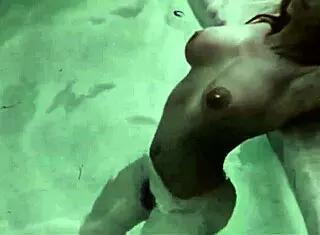 i love the wonderful world of vintage bisexuals with pussy and assfucking, it's so excitin'.