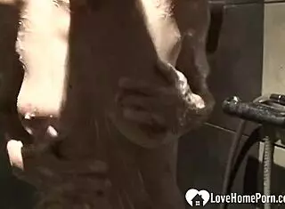 cute babe with big boobs takes a horny shower, getting naked and shaved