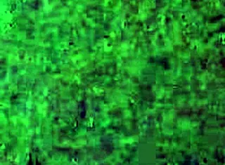 Wifey gets bold hardcore fucking from her husband in intense session