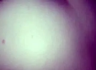 White Girl Can't Get Enough of Big Black Cock