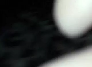 i'm fucking her wet pussy so hard