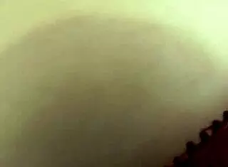 继弟求黛西林恩巨屌口交