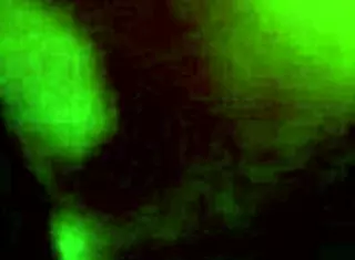 Amateur Voyeur Spies On Neighbor Getting Fucked Hard In Bathroom Shower With Intense Passion