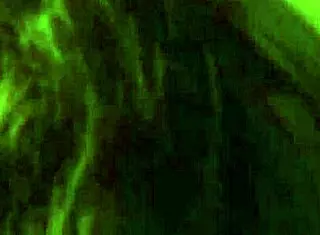 Sweet Anna Belle Lee Masturbates Sensually Before Bedtime