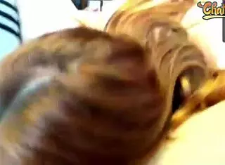 Hot Oral Threesome With Pussy Licking And Blowjob