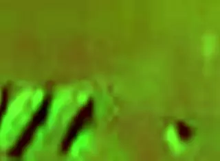 Want rough sex on first date?