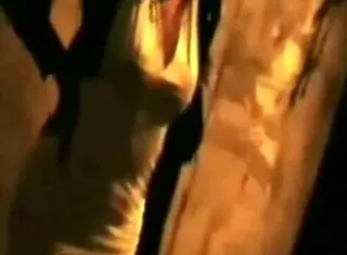 南美人妖小姐T变装狂野干炮