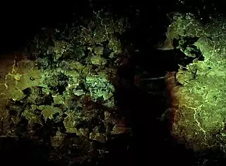 This vintage bizarre item is from the retro era