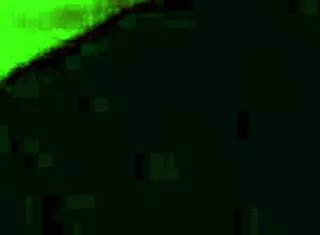 Bleubrutalrose in Guantanamo Bae full movie