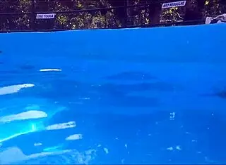 Kellenzinha teaches how to seduce a teen prostitute in cuckold assfucking scenario.