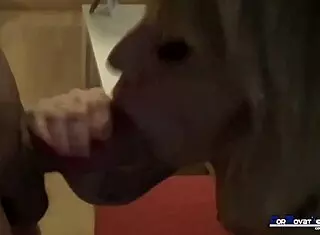 Spanish MILF Screams, 'Fuck My Ass With Your Big Cock!'