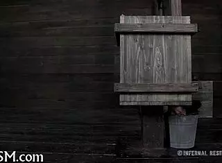 Bound Couple Enjoys Caning Session Together