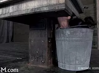 Bound Couple Enjoys Caning Session Together