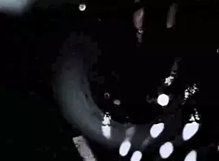 In vintage times, a family deals with taboo relationships.