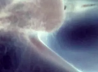 哟，黑白配这野劲儿啥情况，给我讲讲？