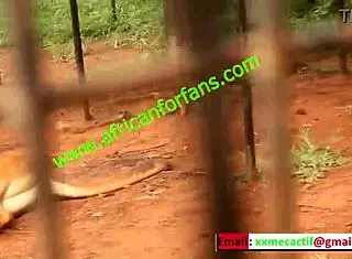 Naughty Zoological Park Encounter