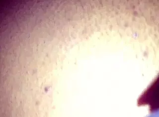 Miami boys feel intense pleasure tag teaming bbw with big black cocks